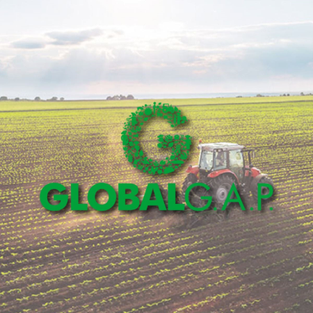 Globalgap Belgelendirme Süreci