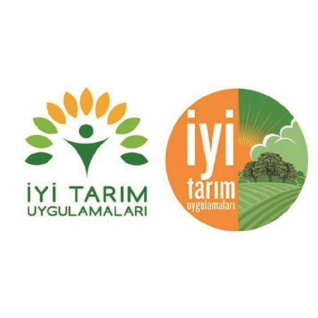 İTU/GLOBALGAP Belgelendirmesi